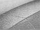 Spuitbus TOYOTA Kleurcode 1J6